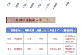 哈尔滨房价地图出炉~这里的二手房价格全市最贵图片