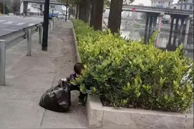 大冬天，有个小朋友不想上学，被罚去路边捡垃圾：回家吵着要上学图片