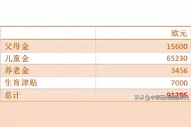 在德国养娃，我竟然赚了100万图片