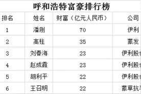2020呼和浩特富豪排行榜图片