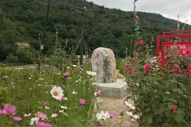【走向我们的小康生活】第一书记段振鹏：跑出“泥点子” 想出“金点子”图片