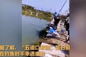 防钓鱼触电 远离高压线图片