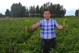 说摆摊挣不到大钱的，看看这条街上的摊贩哪个不是身价上亿？图片