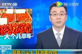 大草莓打了激素不能给孩子吃？这些儿童食物的说法，到底能不能信图片