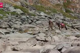 第八届全国道德模范评选揭晓 拉齐尼·巴依卡、刘虎、胡拥军、王刚、祁发宝获殊荣图片