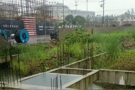宁海这个村3亩农用地上竟冒出31间宅基地！执法部门：罚！图片