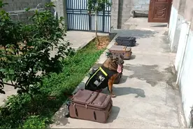 泪目！警犬“千里”的葬礼，一起为它送行图片