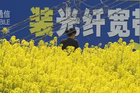大明：移动宽带晚上网速慢怎么办？教你一招，轻松解决问题图片