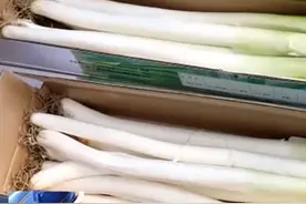 毛葱价格涨幅超123%，“向钱葱”又要卷土重来？图片