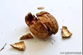 “七月核桃八月梨”，鲜核桃应该怎么吃？图片