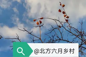 等闲变却故人心（之十）图片
