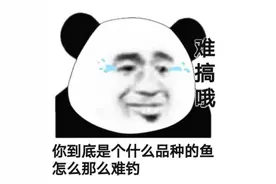 搞笑表情包：你到底是个什么品种的鱼，怎么那么难钓图片