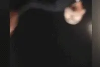 “我车比你的命贵”代驾司机惨遭醉酒客人毒打！鼻子骨折了图片