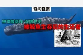 最幸运的男子！被鲸鱼生吞后竟然还能生还图片