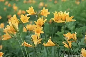 家长教育孩子要有边界意识  没有边界的心软  只会让对方得寸进尺图片