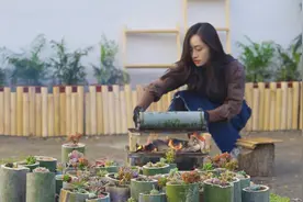 舌尖上的竹香：柴火竹筒饭，值得一尝图片