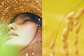 《小森林》美食治愈电影  夏秋、冬春篇远离城市乡下生活 ！图片