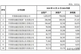 广东移动2020年度净利润是整个中国联通的两倍图片
