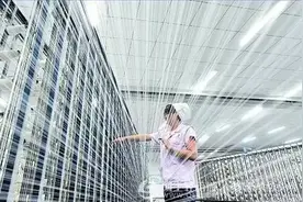 这家建厂64年的中国棉纺行业排头兵，喜获2亿政府补助款图片