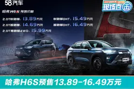 哈弗H6S预售13.89-16.49万元 时尚前卫又科技动感图片