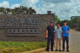 中国果业有两大投资圣地：一个叫云南，一个叫海南图片