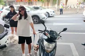 儋州16岁少女“无证驾驶报废车”上路被查！父亲：请你们直接送拘留所吧！图片