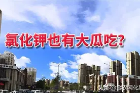 氯化钾也有大瓜吃？图片