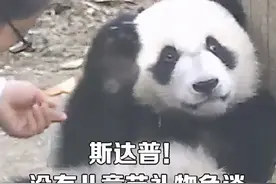 「公基备考」六一来啦！你想知道的六一小知识有哪些？图片