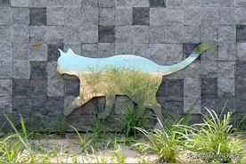猫咪发现在家里中毒的表现，疫情期间可以在家这样处理图片