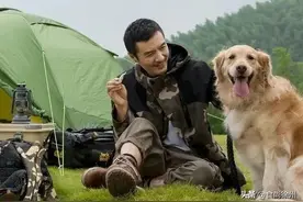 朴树、赵雷重磅登场！十一国庆，邀徐州人去看森林狂欢音乐节图片