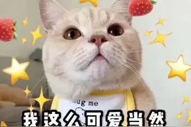 儿童节福利：这份00后“网络暗语”指南，大家可以偷偷传阅~图片