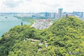 裸露没了 绿化美了——柳州市十八年初心不改创建全国文明城市纪实之七图片