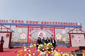 山西：盐湖农机“梨花节”上唱大戏图片