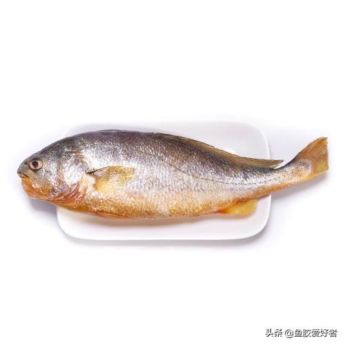 花胶300块一斤正常吗 2026年花胶300块一斤正常吗图片