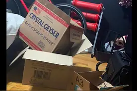 网友用纸箱子做了辆坦克车，狗狗还坐在了里面，狗：看谁敢惹我？图片