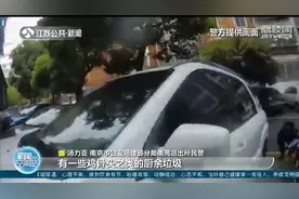 熊孩子偷吃垃圾食品，炸鸡骨头扔窗外 楼下车主报警高空坠物图片