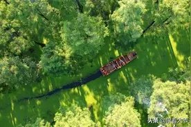 武汉唯一红色旅游公路 小众游「问津书院-道观河」图片