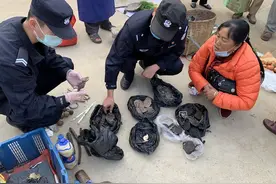 云南一女子当街叫卖野生动物制品被查图片