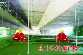 海沧大桥首次全桥“大保养”一期工程预计明年6月完工图片