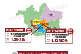 振奋人心！刚刚徐州拍出2块地，东区新地标来了图片