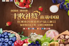 跟我走 这一次带你去东北礼赞丰收图片