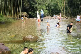 宁波天然免费消暑胜地，交坑的水，好清凉图片