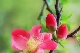 加入007，坚持日更，与儿子从“水火不容”到“同频共振”图片