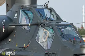 国产直10高清展示，铆钉细节体现航空实力，树梢高度杀手实力不凡图片