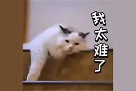 要中考的孩子速速集合 看我们如何带你“弯道超车”？图片