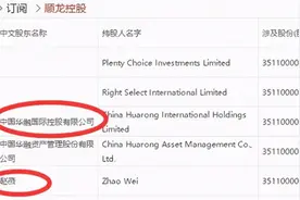 赵薇老公黄有龙再曝危机！3亿欠款背后，神秘担保人“浮出水面”图片