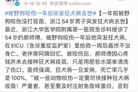 狂犬病致死率100%，被狗抓伤怎么办？专家给出3个救命建议图片