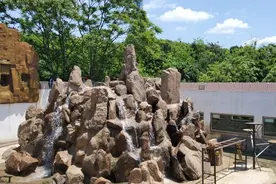 青岛最受欢迎的景点，好评如潮，游客笑称绝对不吃亏的地方图片