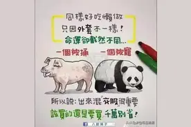 有没有道理，看图说话，最后一个笑死图片