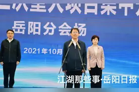 总投资398亿！今天，岳阳133个重大项目集中开竣工图片